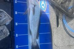 WhatsApp-Image-2023-03-19-at-13.28.08