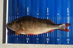 WhatsApp-Image-2023-03-19-at-16.07.04