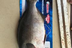 WhatsApp-Image-2023-03-28-at-14.28.22