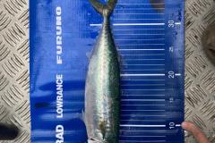 WhatsApp-Image-2023-03-28-at-22.06.40