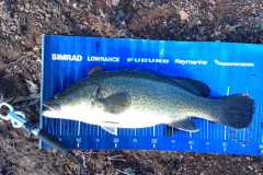 WhatsApp-Image-2023-03-30-at-18.44.46