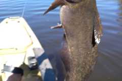 WhatsApp-Image-2023-03-31-at-20.06.58