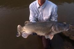 WhatsApp-Image-2023-04-03-at-08.58.17