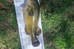 WhatsApp-Image-2023-04-03-at-11.49.43