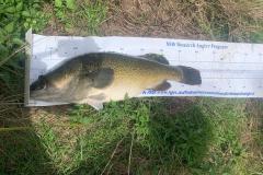 WhatsApp-Image-2023-04-03-at-13.28.40