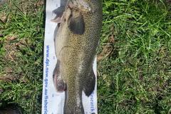 WhatsApp-Image-2023-04-03-at-15.06.48