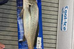 WhatsApp-Image-2023-04-14-at-21.38.46