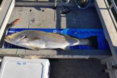 WhatsApp-Image-2023-04-15-at-15.50.19