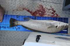 WhatsApp-Image-2023-04-15-at-16.53.09