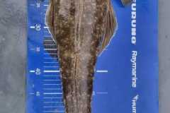 WhatsApp-Image-2023-04-16-at-06.54.31