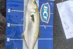 WhatsApp-Image-2023-04-16-at-07.24.25