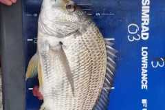 WhatsApp-Image-2023-04-16-at-07.24.28